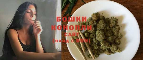 соль ск Нязепетровск