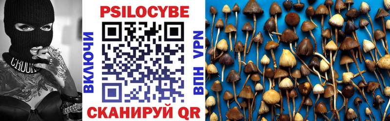 Галлюциногенные грибы мицелий  omg ссылка  Лебедянь  где купить наркоту 